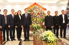 Felicitan a la diócesis vietnamita de Phat Diem en ocasión de la Navidad