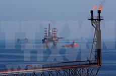 Empresa mixta Vietnam-Rusia Vietsovpetro por recuperar explotación petrolera