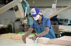 Sector textil de Vietnam espera un ingreso de 38 mil millones de dólares por exportaciones