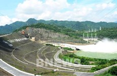 Grupo de Electricidad de Vietnam busca concluir grandes proyectos en 2021