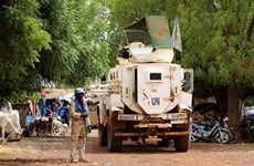 Vietnam exhorta a solucionar desafíos de la seguridad y desarrollo social en Malí