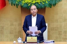 Primer ministro vietnamita insta a revisar medidas de prevención antiepidémica
