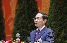 Diplomacia contribuye a desarrollo e integración global de Vietnam