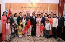 Comunidad vietnamita en Argentina se une al ambiente festivo del Tet