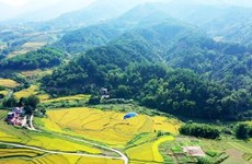 Descubren la tierra prístina de Binh Lieu en Vietnam