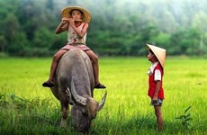 Amor de erudito francés por pinturas folclóricas vietnamitas