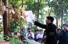 Culto al dios del bosque de etnia Mong en Vietnam 