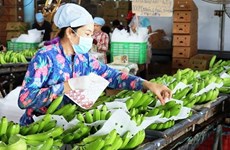 Exportadores de verduras y frutas vietnamitas deben explotar nicho de mercado de Europa del Norte 