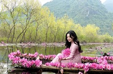 Sunny Vietnam, canal de Youtube destaca la belleza de Vietnam