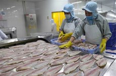 Aumentan exportaciones de productos agrícolas, silvícolas y acuícolas de Vietnam