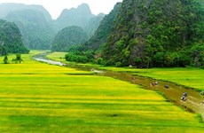 Clip de campaña de promoción turística de Vietnam alcanza un millón de visitas 