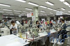 Provincia vietnamita permite la entrada de trabajadores extranjeros
