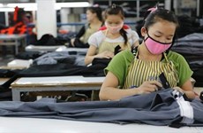 Laos refuerza gestión de trabajadores extranjeros ilegales