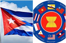 Cuba evalúa potencialidades de cooperación con la ASEAN
