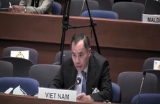Vietnam propone soluciones para aliviar impacto del COVID-19 en migrantes