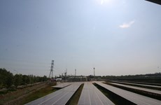 Inauguran primera planta de energía solar en región del Delta de Mekong 