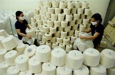 Amplían en Vietnam investigación antidumping sobre hilos de filamentos de poliéster