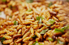 Vietnam autorizado a enviar alimentos hechos de insectos a Unión Europea