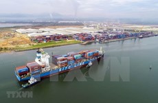 Aumentan valor de importación y exportación de firmas de inversión extranjera en Vietnam 