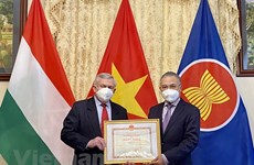 Resaltan contribuciones de Asociación de Amistad Hungría-Vietnam a fomento de lazos binacionales
