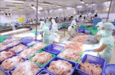 Vietnam experimenta alza en exportaciones de productos acuícolas