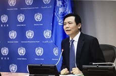Vietnam asume presidencia del Consejo de Seguridad por segunda vez
