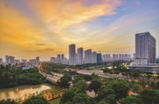 Grupo tailandés califica de positivas las perspectivas comerciales en Vietnam