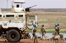 Llama Vietnam a impulsar esfuerzos por implementar acuerdo de paz en Malí