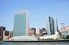 Asignan a oficial vietnamita misión en sede de la ONU