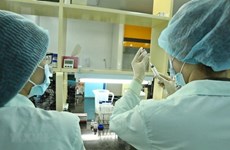 Vietnam facilita labor de empresas nacionales en investigación y producción de vacuna contra el COVID-19