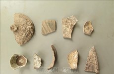 Anuncian logros arqueológicos sobresalientes en Vietnam en la última década
