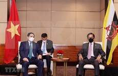 Primer ministro de Vietnam se reúne con sultán de Brunéi