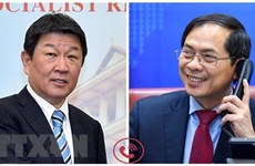 Ratifican compromiso de agilizar cooperación multifacética Vietnam- Japón