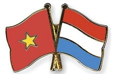 Conmemoran 48 años de las relaciones diplomáticas Vietnam-Países Bajos