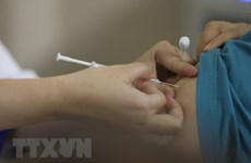 Llegan a Vietnam casi 1,7 millones de dosis de vacuna contra COVID-19