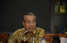 Diputado indonesio realza significado de elecciones generales para Parlamento de Vietnam 