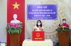 Vicepresidenta vietnamita participa en los comicios en la provincia de An Giang