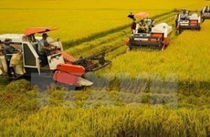 Avanza Vietnam en programa de modernización rural