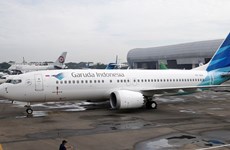 Aerolínea nacional de Indonesia reducirá su flota de aviones a la mitad