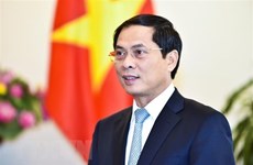 Vietnam felicita a nuevo ministro de Relaciones Exteriores y Movilidad Humana de Ecuador