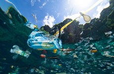 ASEAN refuerza combate contra desechos marinos