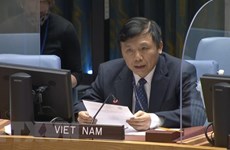 Vietnam por promover diálogos judiciales internacionales