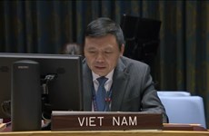 Vietnam reafirma compromiso con el derecho internacional