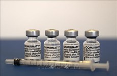 Aprueban Vietnam vacuna Comirnaty de Pfizer-BioNtech