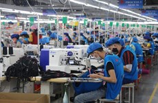 Vietnam se esmera en estabilizar actividades de producción pospandémica