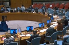Consejo de Seguridad discute impacto del COVID-19 en lucha contra el terrorismo
