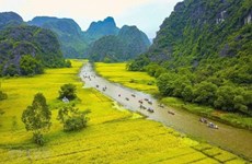 Vietnam necesita nuevos mecanismos para promover el desarrollo cultural