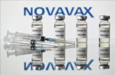 Singapur podría recibir vacuna Novavax para fin de año, según ministro
