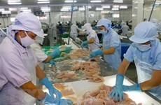 Exportaciones de productos acuícolas de Vietnam superan los cuatro mil millones de dólares