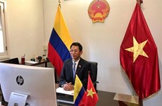 Embajador de Vietnam entrega cartas credenciales al presidente de Colombia